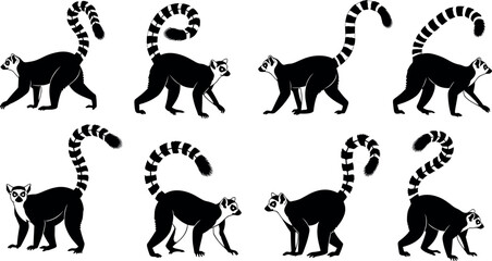 Set of walking ring-tailed lemur silhouettes with striped tails isolated vector illustrations for wildlife design and animation. © DALIARA 