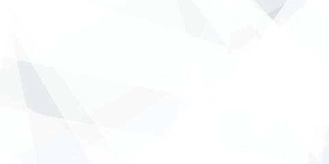 Obraz premium Abstract background with white and gray and geometric style with simple lines and corners, polygons as background geometric style with simple lines and corners, polygons as background paper texture
