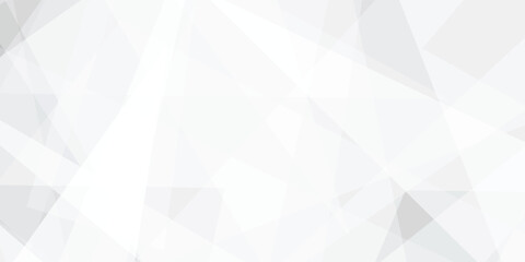 Obraz premium Abstract background with white and gray and geometric style with simple lines and corners design .