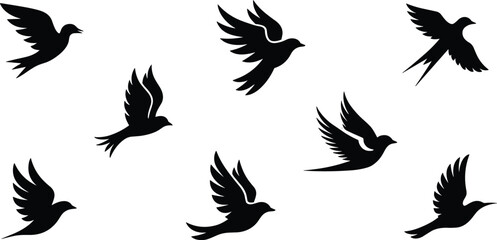 Obraz premium Flying bird silhouettes, black winged animals in different poses isolated on white background, freedom wildlife vector set