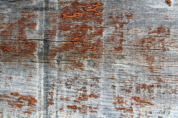 Obraz premium Weathered gray wood surface with peeling orange paint and rusty texture. Rustic vintage background with cracks and organic grain, ideal for industrial design.