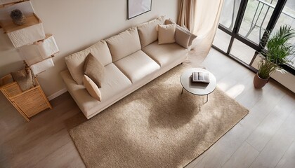 soft beige carpet and sofa furnish a modern stylish minimalistic living room seen from above