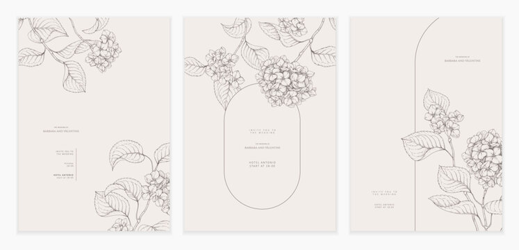 Set of card with blooming hydrangea flowers and brunch. Detailed template layout design, brochure or cover for Valentines day or wedding