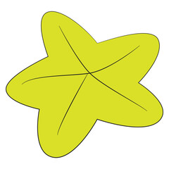 Little a beach starfish isolated on white background