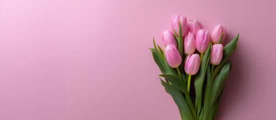 Obraz premium Bouquet of pink tulips on soft pink background with copy space, spring flowers, floral greeting, romantic gift, Women’s Day celebration, minimal floral composition, fresh blossom concept
