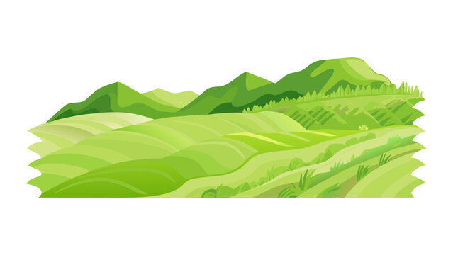 Wide Green Field Landscape Illustration