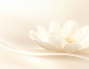 Obraz premium Delicate White Flower on Soft Background with Gentle Lighting