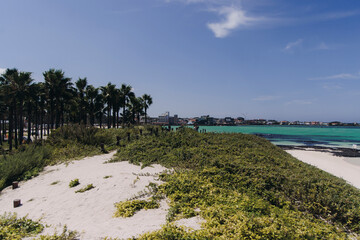 Naklejka premium Jeju Island, Hyeopjae Beach, Hallim, white sand beach and sea, Hallim-ro, Hallim-eup, Geumneung Beach, Jeju-do, South Korea, Jeju Province, landscape view in a sunny day, and Biyangdo island
