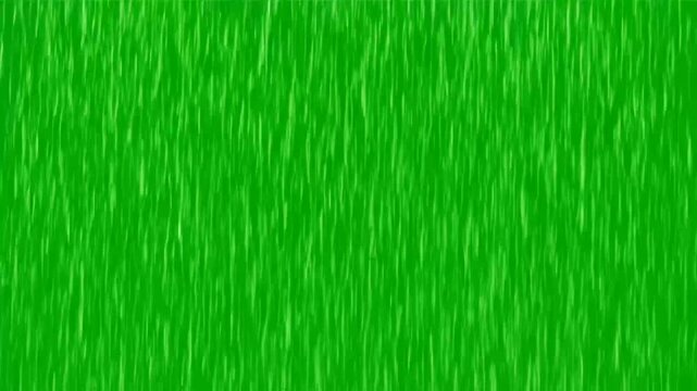 Grass texture background animation, green screen