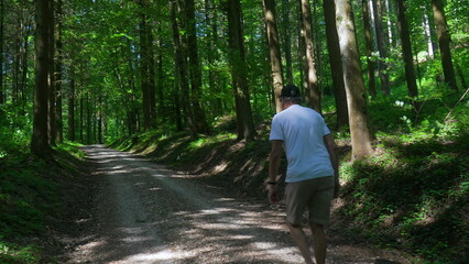 Obraz premium Senior man walking alone on wide forest trail surrounded by tall trees, peaceful afternoon moment of solitude and movement in natural woodland setting