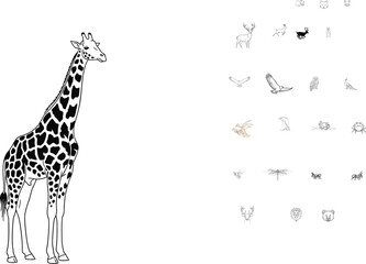 Giraffe standing alone in simple line art © Tarek