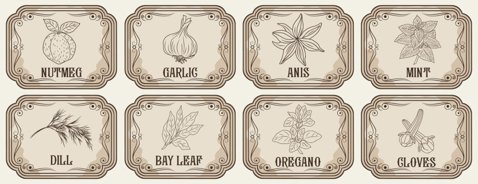 Set of flat vector illustrations of vintage-style spice labels with hand-drawn herbs and spices including garlic, mint, oregano, cloves, nutmeg, dill, anise, and bay leaf on natural beige backgrounds