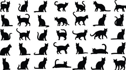 Black cat silhouettes in various poses on white background black cats cat poses feline © Its Morsed here