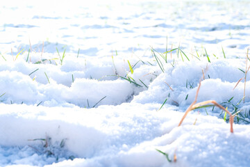 A snowy field with grass and snow