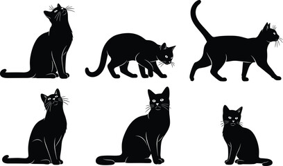 Black cats in various poses on white background cat silhouettes feline animals © Its Morsed here