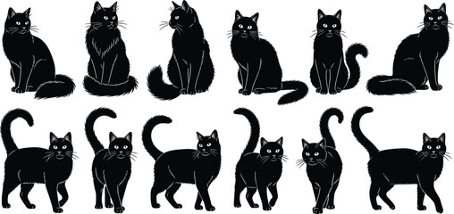 Black cats in various poses on white background cat silhouettes feline cat poses 2 sitting cats © Its Morsed here