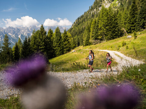 Two women hike a gravel path through a green meadow with trees and mountains in the background. Tragonia hut,Forni di Sopra,Dolomites,Italy