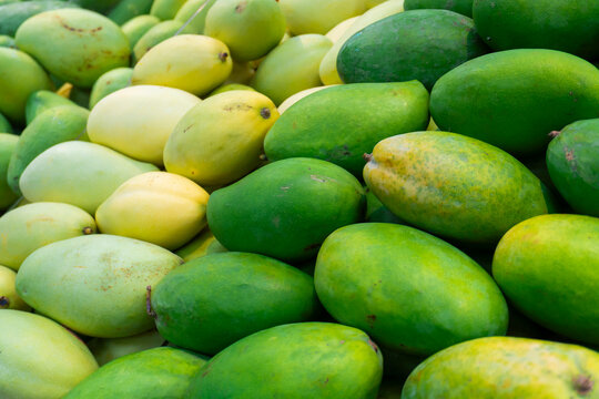 Fresh green and yellow mangoes stacked together at a local market. Ripe and unripe tropical fruits displayed in abundance, showing natural texture, vibrant colors, and freshness, suitable for food, ag