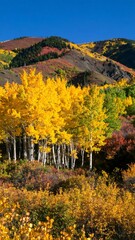 A vibrant autumn landscape showcases yellow aspens in the foreground, a rolling hill, and a blue sky background