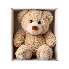 Light brown teddy bear in white box isolated on a transparent background