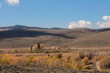 Naklejka premium Remote Valley Ranch Road Landscape with Cottonwood Trees