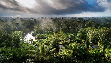the amazon rainforest