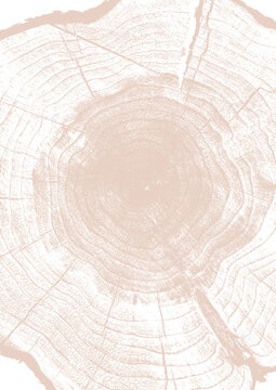 texture de cernes de bille de bois