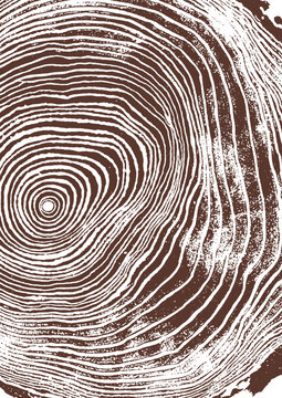 texture de cernes de bille de bois