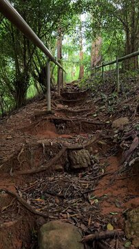 difficult path to climb