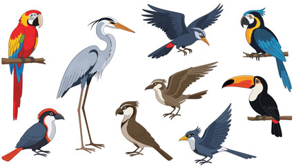 Naklejka premium Diverse collection of colorful tropical and wild birds in various poses including parrot and toucan for nature concepts.