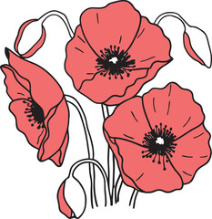 red poppy flowers
