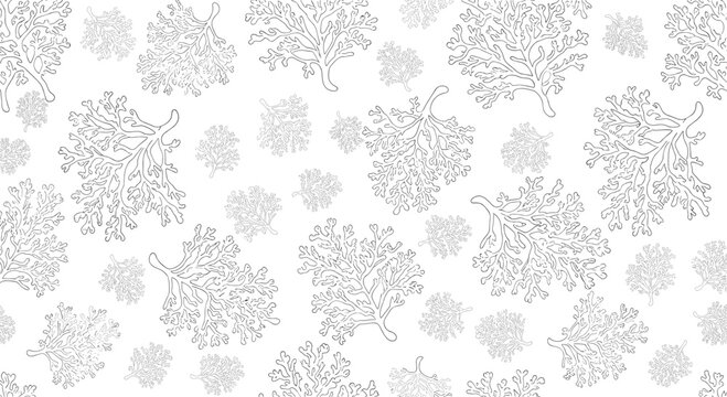 Minimalist seamless pattern displaying delicate black and white sketches of coral branches and underwater sea plants on a clean white background.