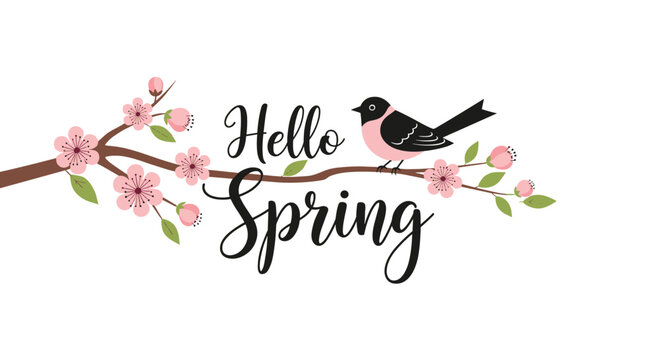 Hello spring horizontal banner design featuring a cute pink and black bird perched on a blossoming tree branch with green leaves and flowers.