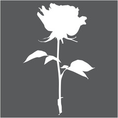 Black rose silhouette isolated on white canvas