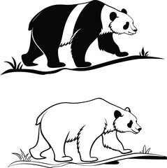vector illustration of a panda