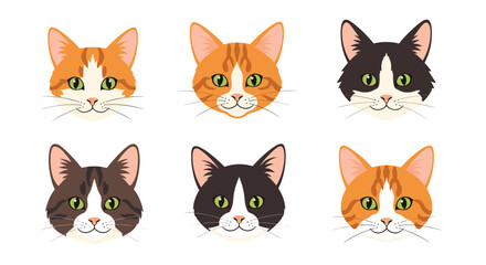 Obraz premium Collection of six different cat breed portraits shows various feline faces with green eyes arranged in neat horizontal rows.