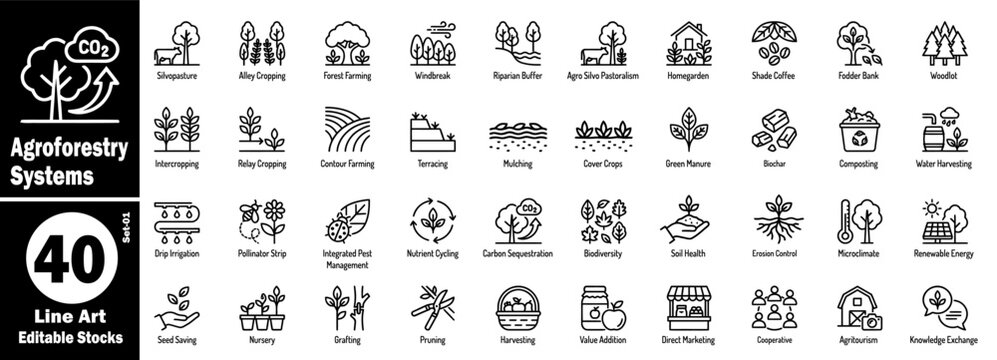 Agroforestry systems outline icons set: silvopasture, alley cropping, forest farming, windbreak, riparian buffer, agro-silvo pastoralism, homegarden, shade coffee vector illustration.
