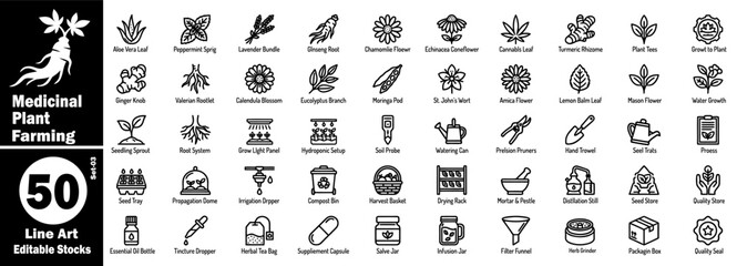 Medicinal plant farming line art icons set. Showing moringa pod amica flower eucalyptus branch, ginger knob, cannabis leaf with irrigation drippers, and herb grinder line graphics vector illustration. © Hafiz