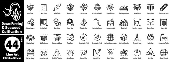 Ocean farming and seaweed cultivation icons set. Line art icon contains kelp frond, nori sheet, dulse blade, sea lettuce, gracilaria branch, and spore release vector illustration. © Hafiz