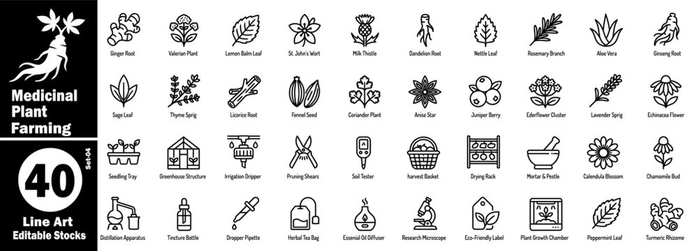 Medicinal plant farming icons set. Line art icon contains herbal medicine ingredients for health, such as ginger, valerian, lemon balm, milk thistle, vector illustration.