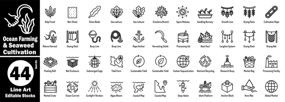 Ocean farming and seaweed cultivation icons set. Line art icon contains kelp frond, nori sheet, dulse blade, sea lettuce, gracilaria branch, and spore release vector illustration.
