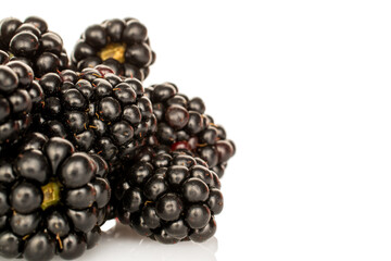 Sweet blackberry isolated on white background, macro.