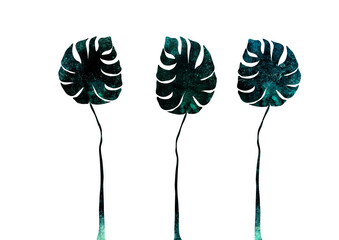 Ilustracja grafika trzy liście na białym tle. © Monika