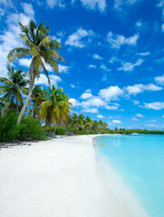 beach and tropical sea