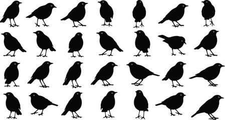 Fototapeta premium Crow bird silhouettes collection wildlife nature cad drawing flat vector illustration isolated black shapes set