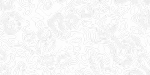 Fototapeta premium Minimal white line geometric grid outline curve counter map and wavy topography relief discovery area white, black line texture background.