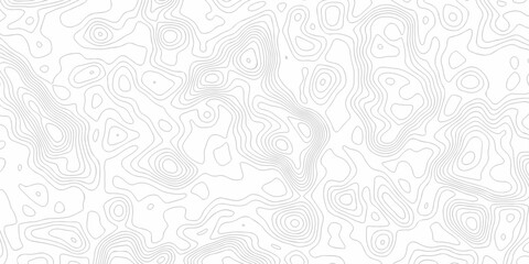 Fototapeta premium Minimal white line geometric grid outline curve counter map and wavy topography relief discovery area white, black line texture background.