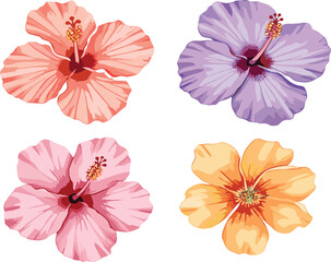 Colorful hibiscus flower collection vector illustration featuring tropical floral elements isolated decorative botanical design set © Sumon Creative