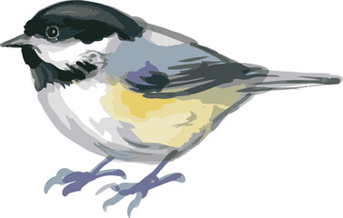 Naklejka premium bird on a branch