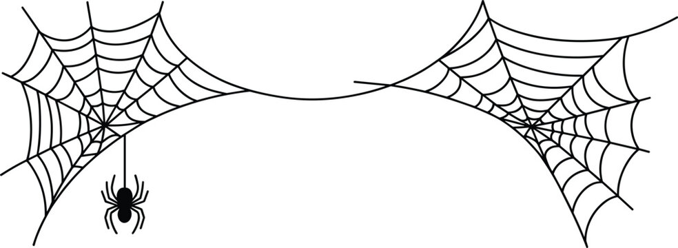 Halloween spider web corner frame with hanging spider silhouette, black line art vector border isolated on white background for spooky banner and decoration design.